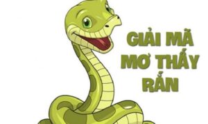 Liệu nằm mơ thấy rắn có cần quá lo lắng