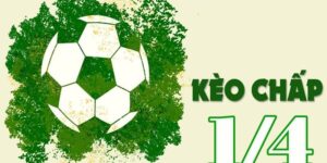 Tổng hợp về cách tính tiền kèo 1/4 đầy đủ và chi tiết