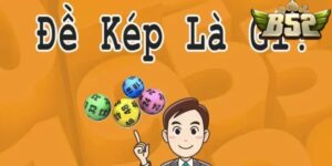 Một số thông tin cơ bản về đề kép mà bạn cần biết